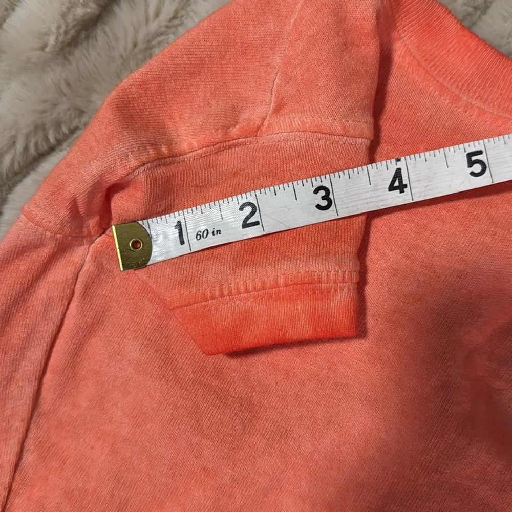 Disneyland Orange ombré Pet T-Shirt (small)